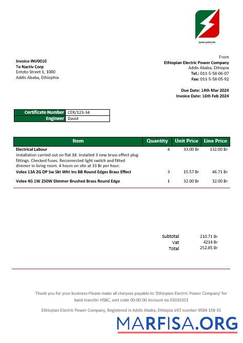 Blank Ethiopia Ethiopian Electric Power Company electricity business utility bill template in Word and PDF formats1